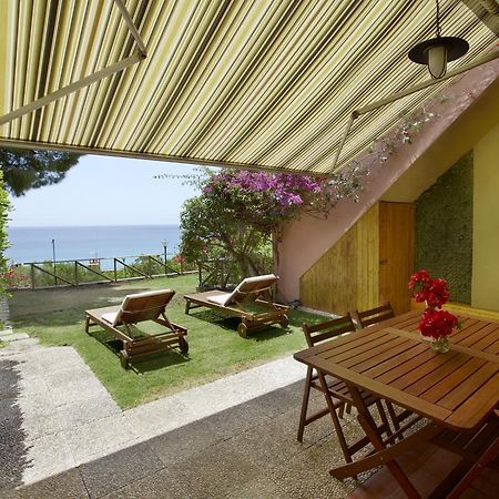 Pinus Village Sea Front Apartment Пула Экстерьер фото